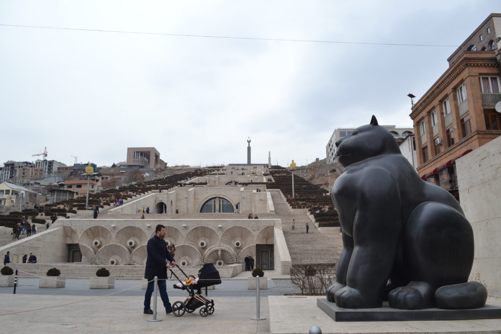 Кот в Ереване